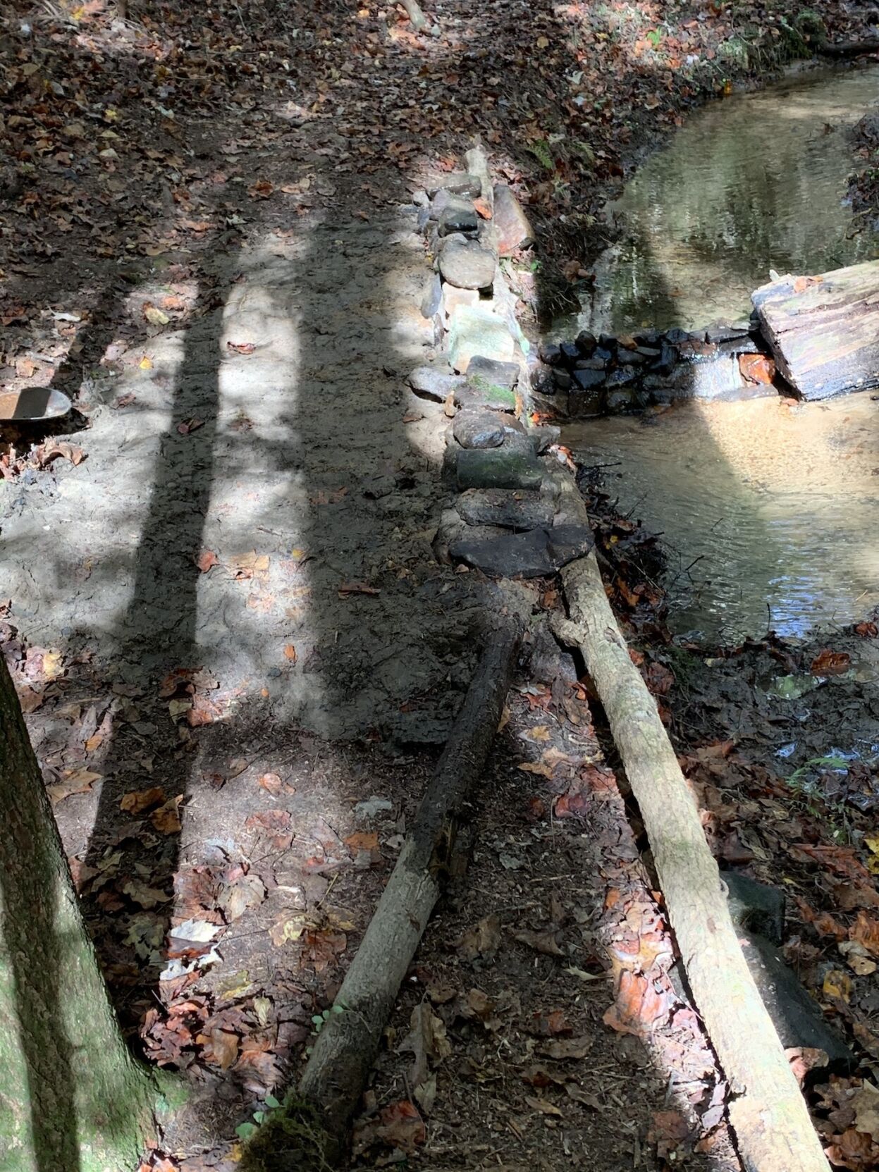 Trails 4